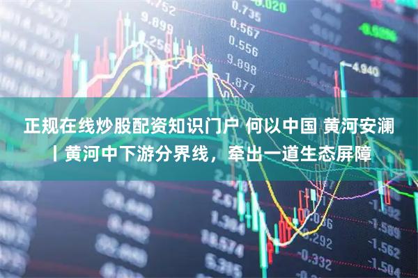正规在线炒股配资知识门户 何以中国 黄河安澜丨黄河中下游分界线，牵出一道生态屏障