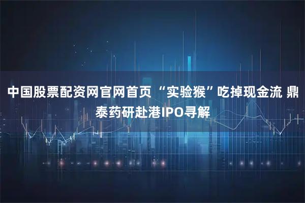 中国股票配资网官网首页 “实验猴”吃掉现金流 鼎泰药研赴港IPO寻解
